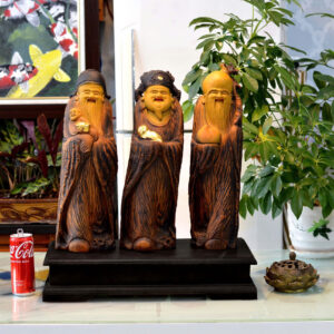 Bộ tam đa lũa bách xanh