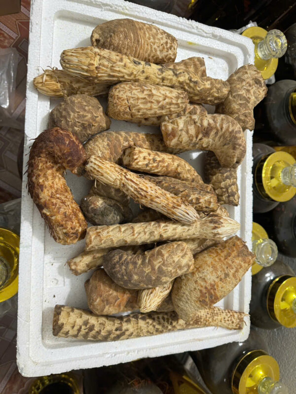 nhục thung dung tươi
