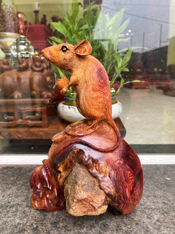 chuột hương ta