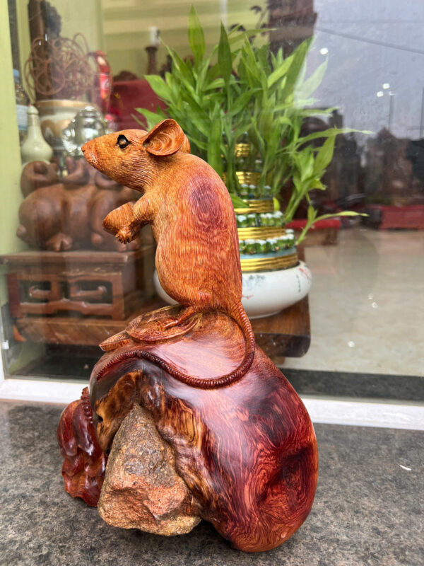 chuột hương ta - Hình ảnh 5