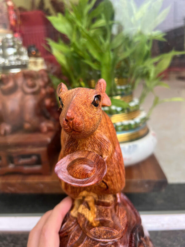 chuột hương ta - Hình ảnh 4