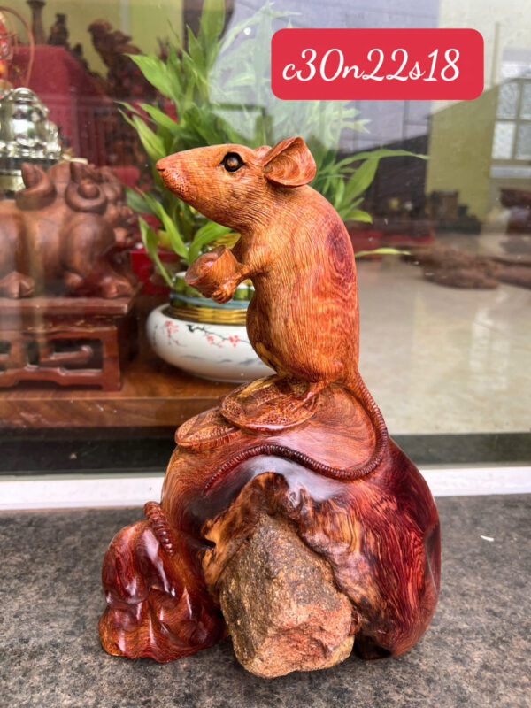 chuột hương ta - Hình ảnh 3