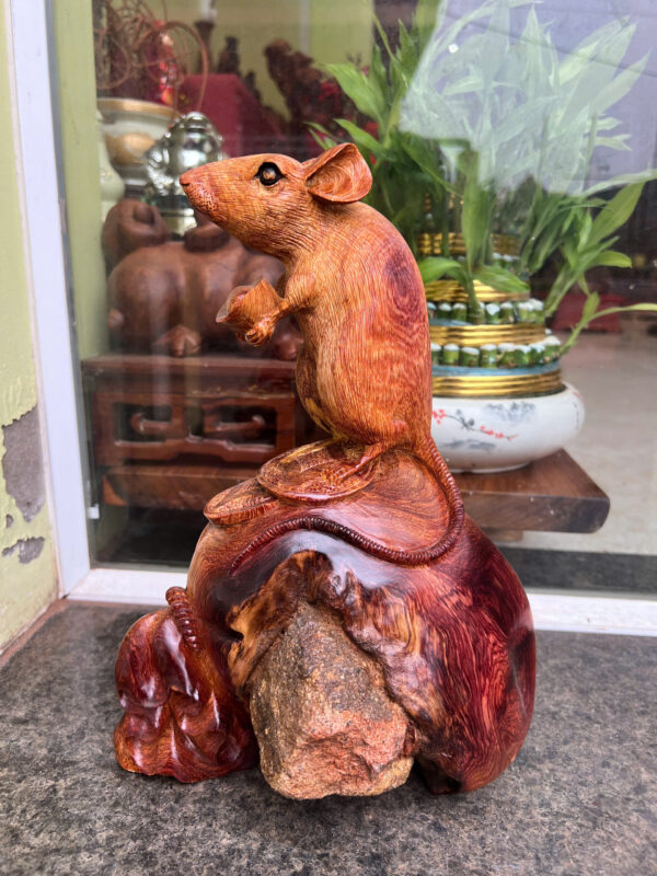 chuột hương ta - Hình ảnh 2