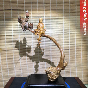 quan-the-am-bo-tat-nu-tram-vang-dang-doc-la