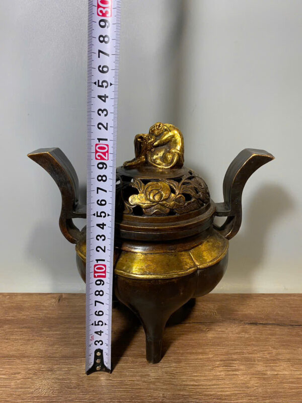 LƯ ĐỒNG SONG NGHÊ - Hình ảnh 6