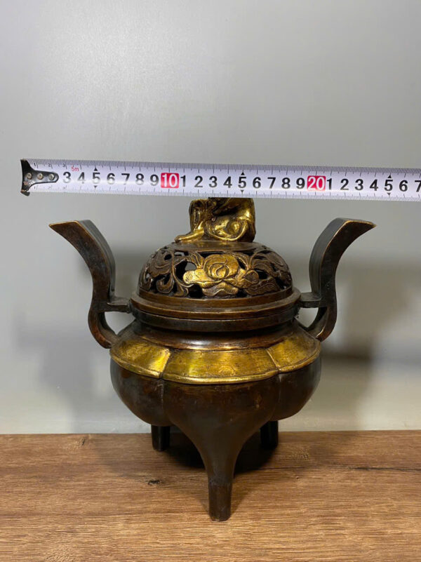 LƯ ĐỒNG SONG NGHÊ - Hình ảnh 5