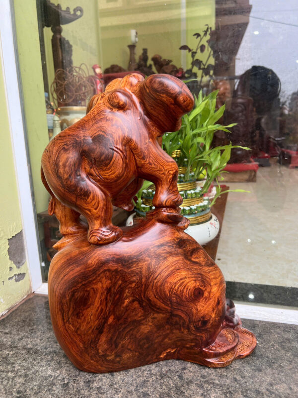 voi hương ta - Hình ảnh 5