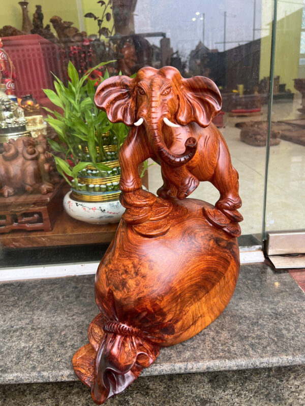 voi hương ta - Hình ảnh 4