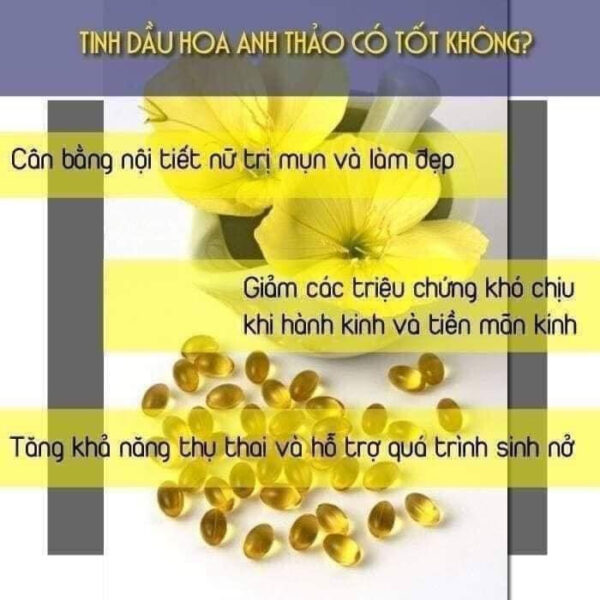 VIÊN UỐNG NỘI TIẾT TỐ NỮ HOA ANH THẢO - Hình ảnh 6