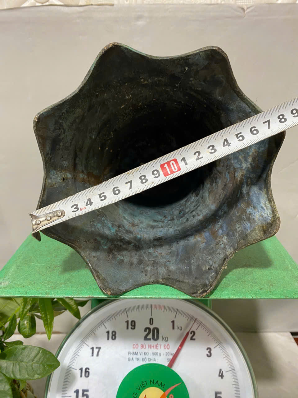 Chuông Đồng Song Long - Ảnh 2