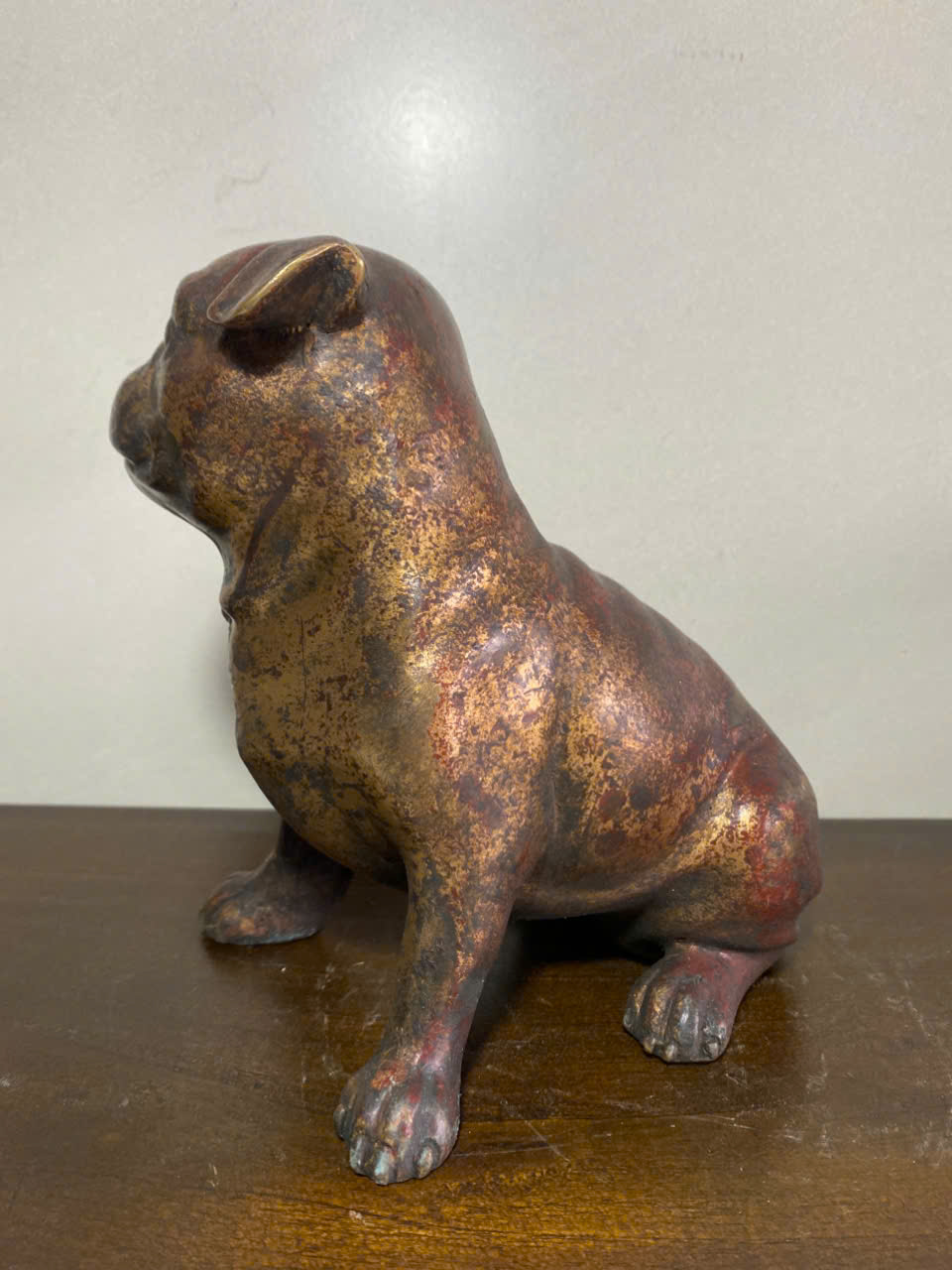 Chó Pit Bills Đồng xưa - Ảnh 6