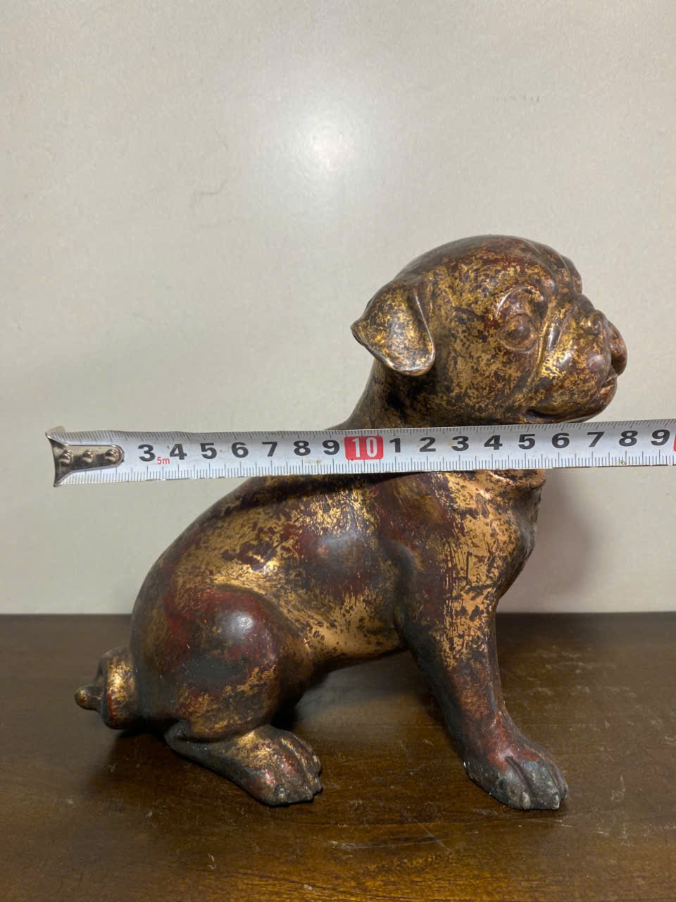 Chó Pit Bills Đồng xưa - Ảnh 2