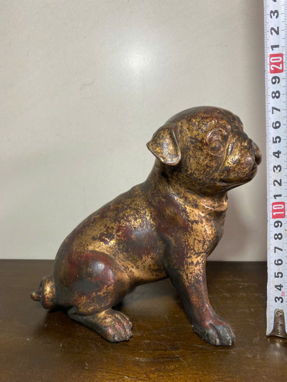 Chó Pit Bills Đồng xưa - Ảnh 3