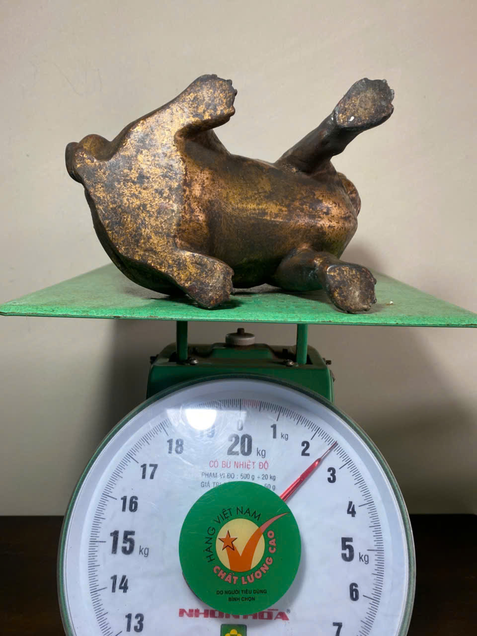 Chó Pit Bills Đồng xưa - Ảnh 4