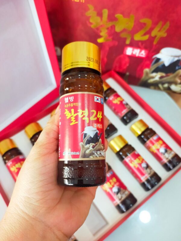 Nước Hồng Sâm Nhung Hươu Well Biotech - Hình ảnh 3