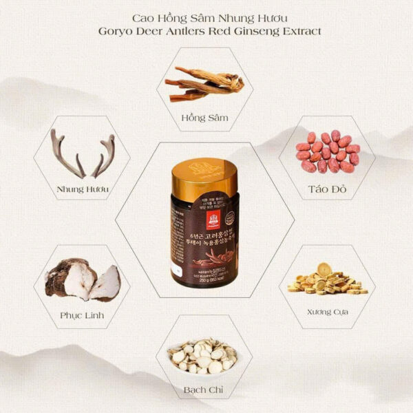 Cao Hồng Sâm Nhung Hươu Goryo - Hình ảnh 3