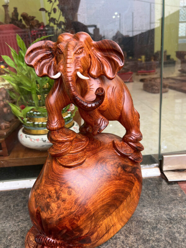 voi hương ta - Hình ảnh 2