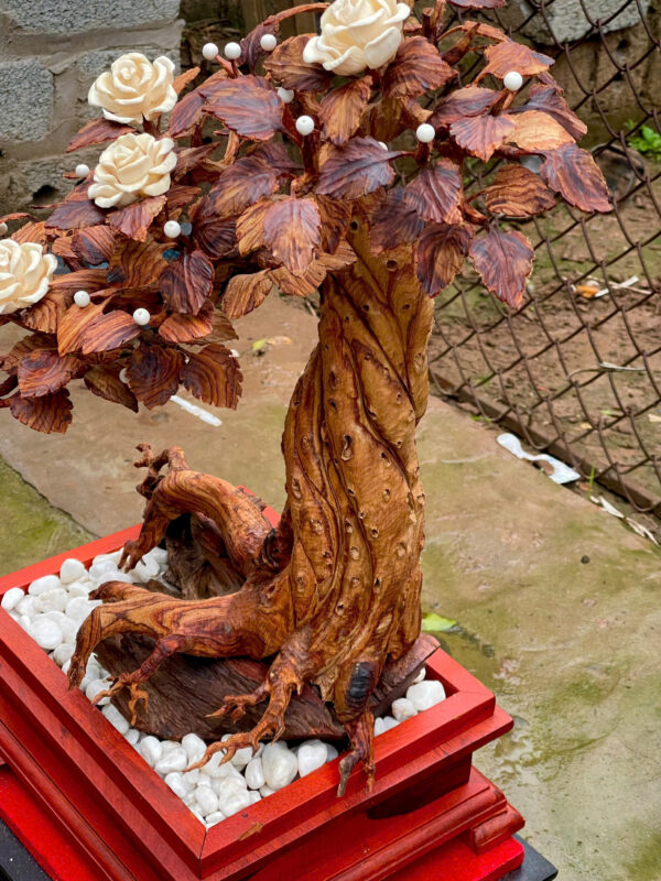 Cây hoa trà- sưa tím ngắt - Hình ảnh 5