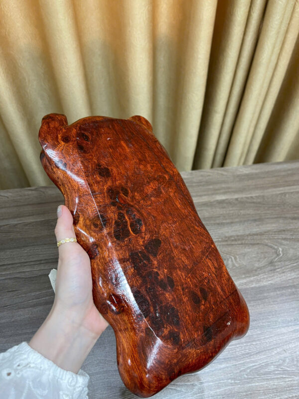 Khay để đồ đa năng - Hình ảnh 5
