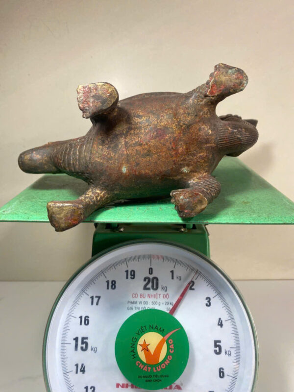 LONG QUY CÕNG PHỤNG HOÀNG - Hình ảnh 8