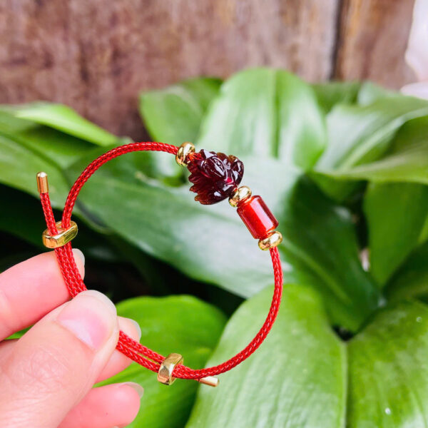 Hồ ly mix lu garnet - Hình ảnh 4