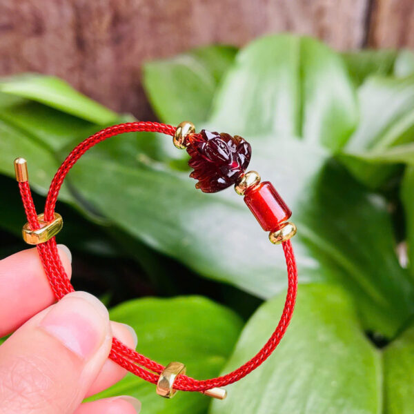 Hồ ly mix lu garnet - Hình ảnh 2