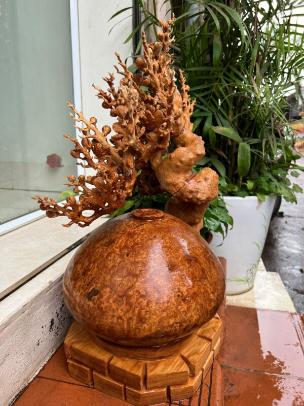 Bình phú quý mai - Hình ảnh 4