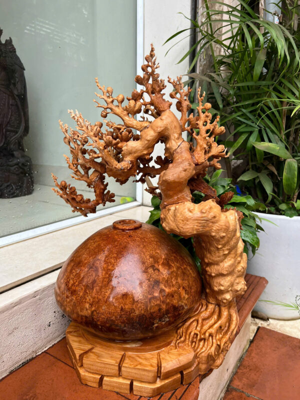 Bình phú quý mai - Hình ảnh 2