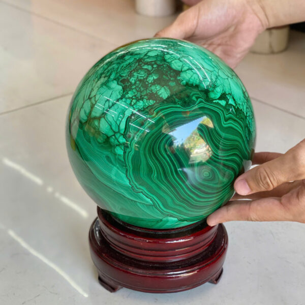 Bi đá lông công - Hình ảnh 5
