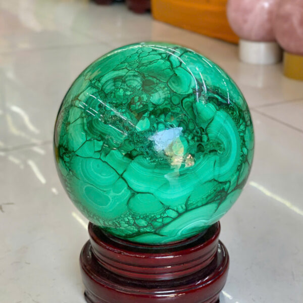 Bi đá lông công - Hình ảnh 3