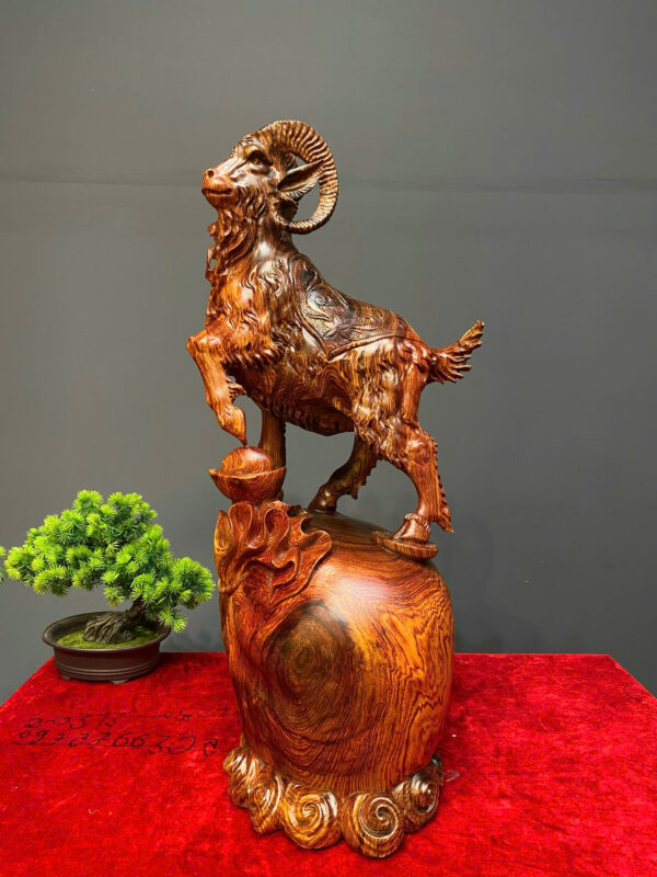 Nhất Dương Tài Lộc - Hình ảnh 5