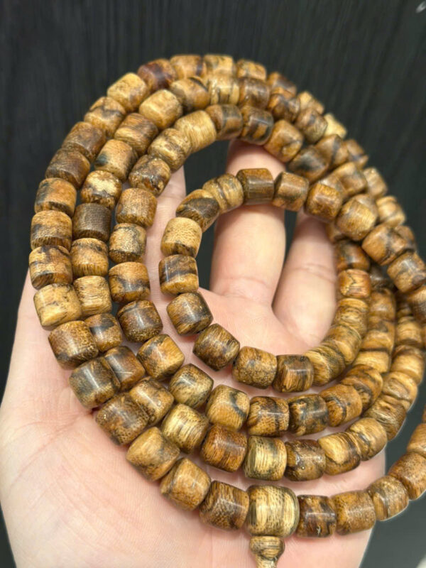 Vòng hồ ly chúa - Hình ảnh 2