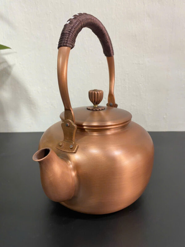 SIÊU NƯỚC ĐỒNG ĐỎ - Hình ảnh 8