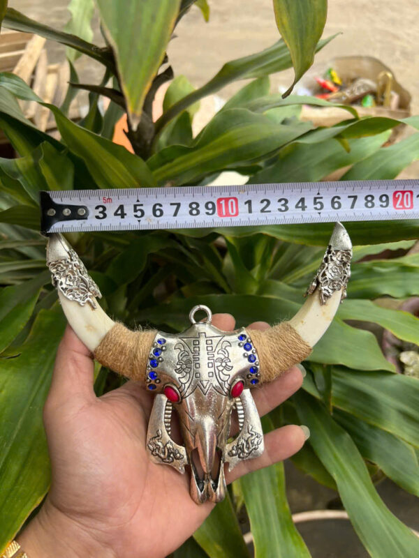 NANH HEO RỪNG ĐẦU TRÂU - Hình ảnh 3