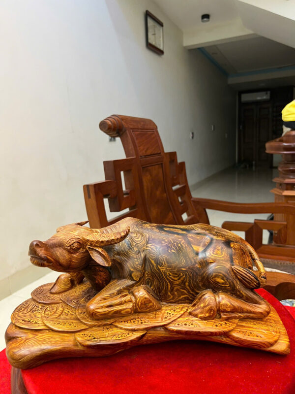 Trâu nằm gỗ cẩm việt