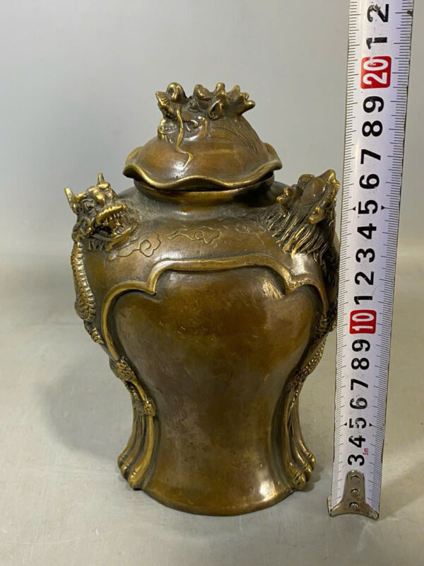 CHOÉ  ĐỒNG   LƯỠNG   LONG - Hình ảnh 4