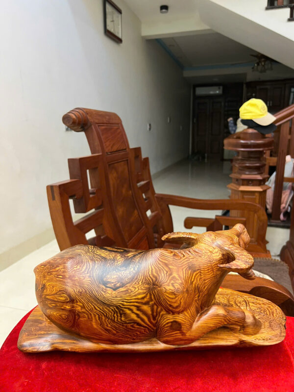 Trâu nằm gỗ cẩm việt - Hình ảnh 6