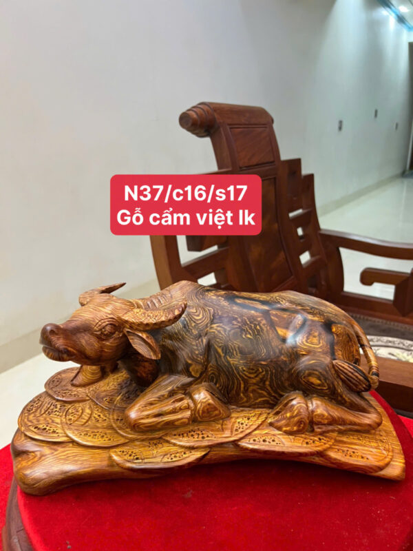 Trâu nằm gỗ cẩm việt - Hình ảnh 4