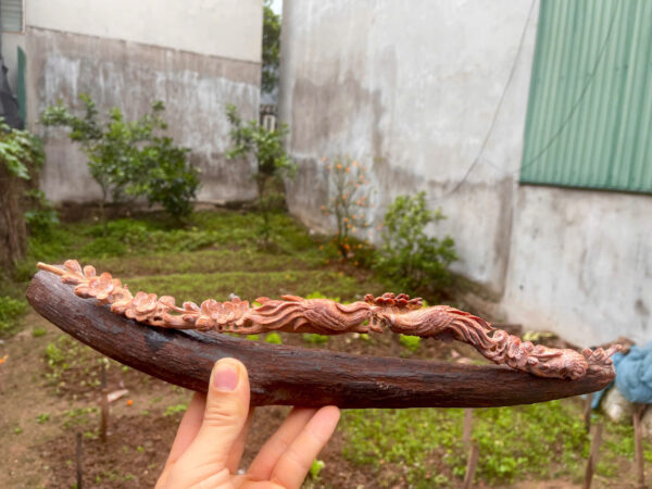 Hoàng đàn tuyết hàng chìm nước