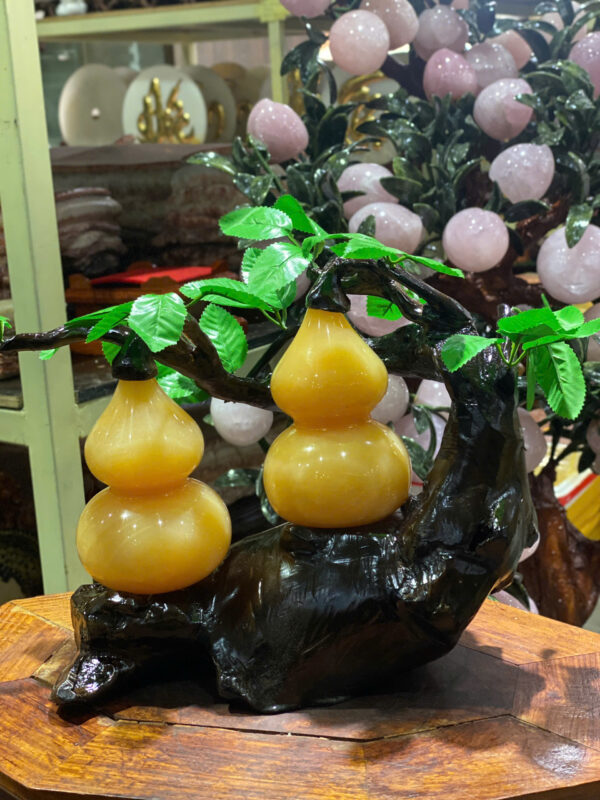 Hồ lô phu thê - Hình ảnh 2