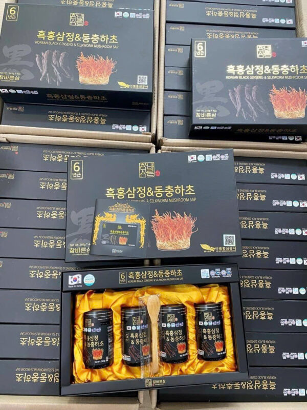 CAO HẮC SÂM ĐÔNG TRÙNG HẠ THẢO