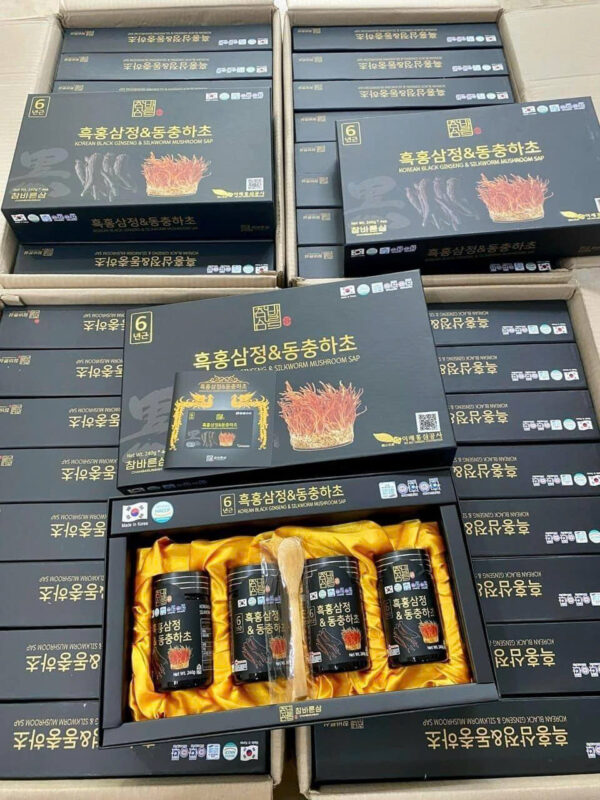 CAO HẮC SÂM ĐÔNG TRÙNG HẠ THẢO - Hình ảnh 7