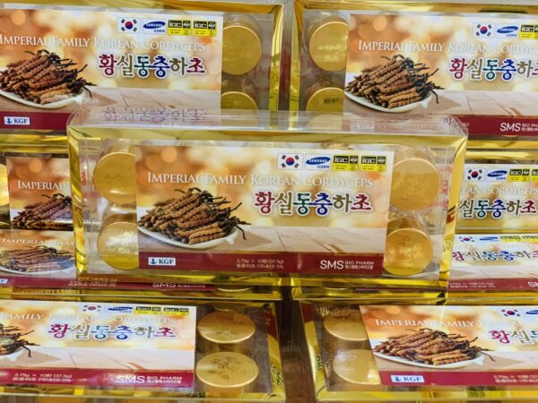 ĐÔNG TRÙNG HẠ THẢO DẠNG VIÊN - Hình ảnh 4