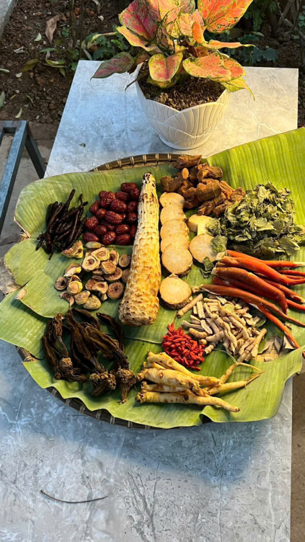 Bổ Dương cao cấp