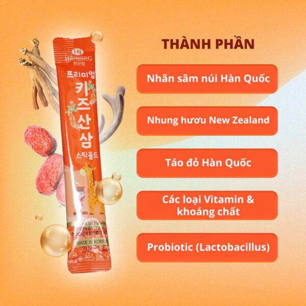 Premium Korean Kids Wild Ginseng Stick Gold - Hình ảnh 3