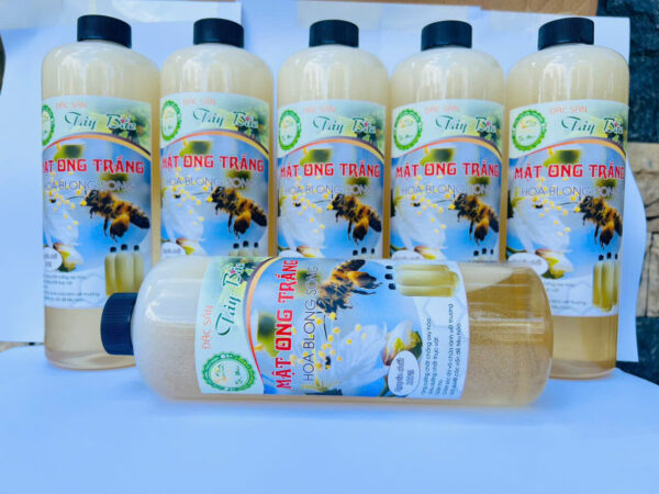 MẬT ONG HOA TRẮNG