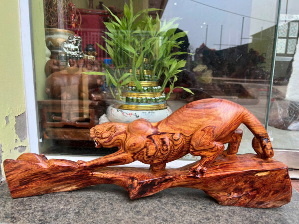 báo săn mồi gỗ cẩm - Hình ảnh 4