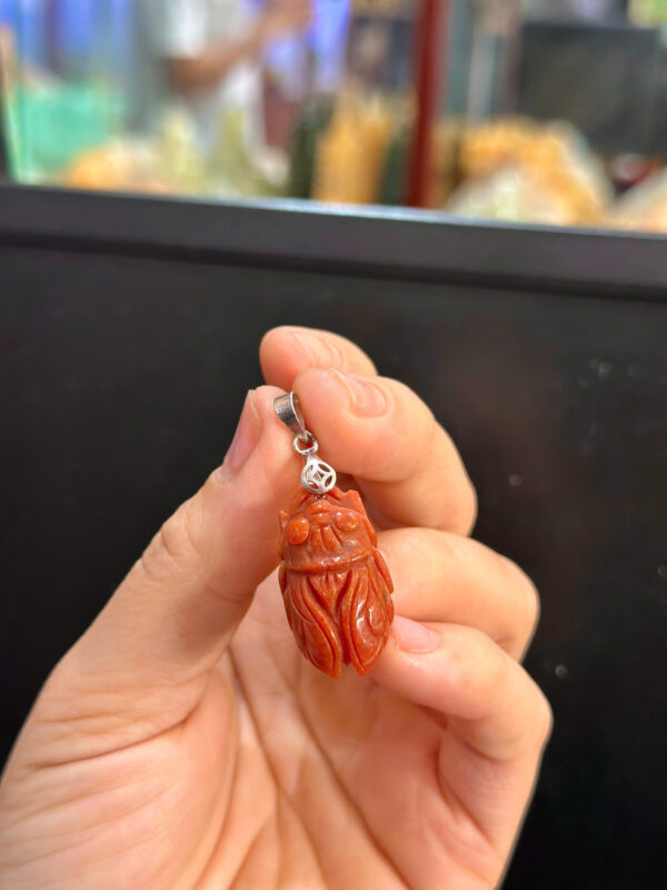 Ve sầu ngọc huyết