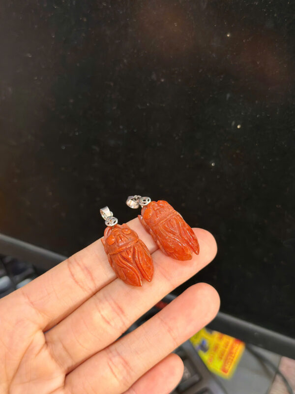 Ve sầu ngọc huyết - Hình ảnh 4