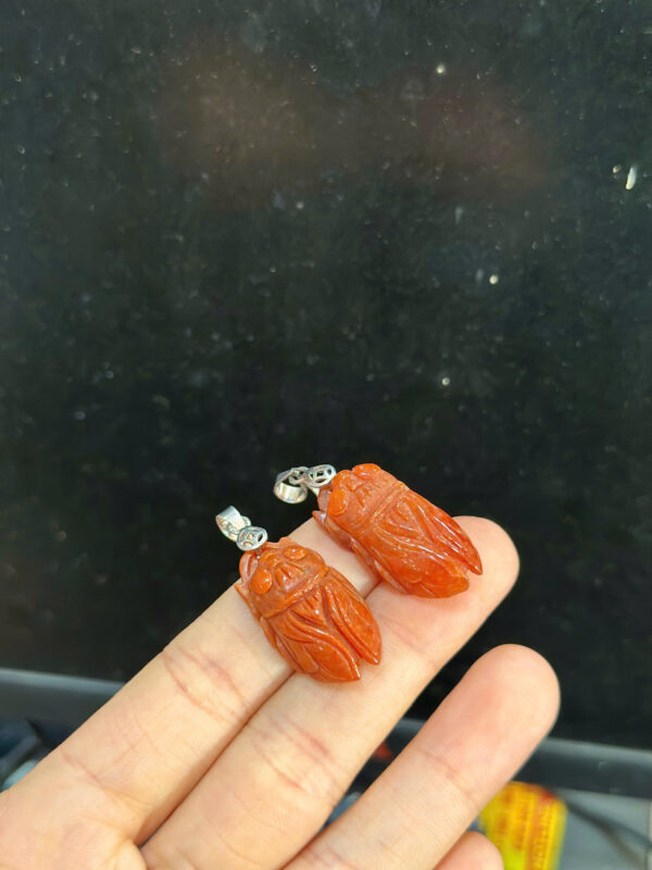 Ve sầu ngọc huyết - Hình ảnh 5